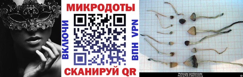 Псилоцибиновые грибы мицелий  Ессентуки 